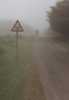 Cattle Grid Warning, Exmoor, England - Summer 1993