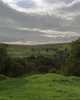 Swaledale, Yorkshire Dales, England - Summer 1994