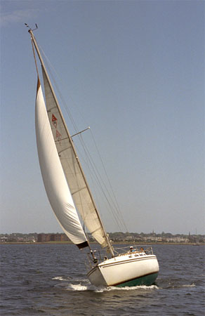 042-29-1-2-w.jpg