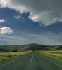 Freestate, South Africa - June 2000 Nikon F90X with Tokina 28-70mm 