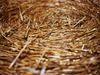 Hay Bales, Wales - Summer 2002 Nikon F90X with Nikon 50mm, Fuji Provia Multi-Speed 