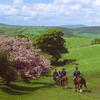 Landscape Collection 3
