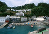 Clovelly from the harbour wall, Devon, England - July 2005 Nikon F90X with Nikon 50mm, Fuji Provia 100F 