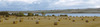 View across the Cromarty Firth to the The Black Isle, Scotland - September 2005 Nikon F90X with Nikon 24mm, Fuji Provia 100F 