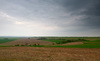 Landscape Collection 4