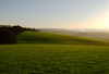 The Chilterns, Nr Ipsden, Oxfordshire - February 2007 Nikon D200 with 12-24mm lens, 1SO 100, 1/30s at f13, polariser