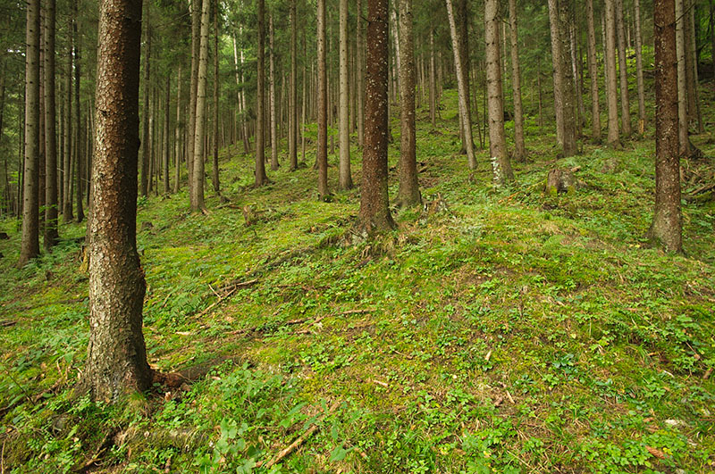 20080912-001_w.jpg