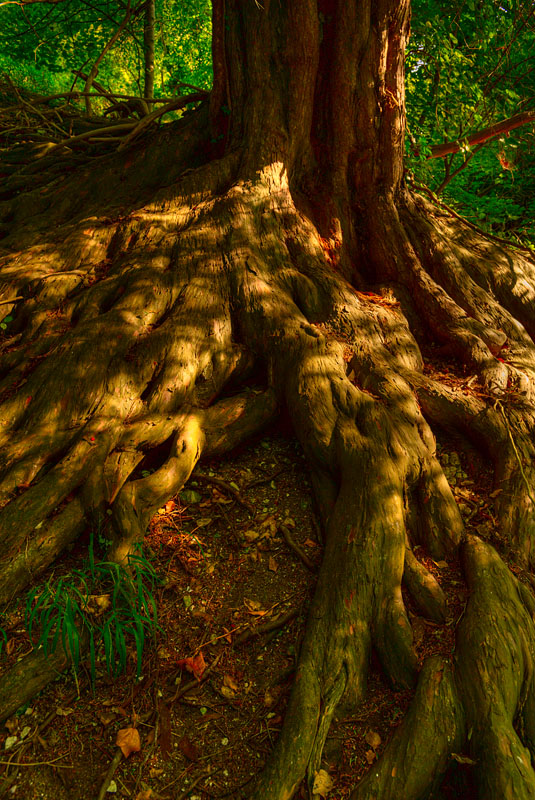 20080921-001_hdr.jpg