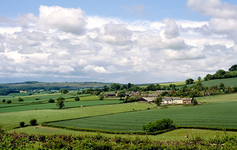 20090607_109-24_w.jpg
