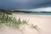 Budle Bay, Northumberland Nikon D3 with 17-35mm f/2.8 at 1/25s and f/14, polarise, 0.6 ND grad 