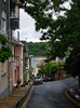 Crowthers Hill, Dartmouth, Devon Nikon D3 with 50mm f/1.4 at 1/30s and f/14