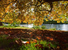 The Thames, Clivedon, Berkshire Konica Minolta DiMAGE A2 at 1/250s and f/4