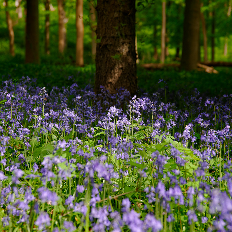 20110501-013_w.jpg