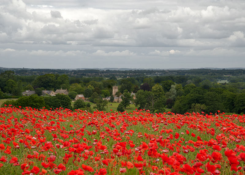 20110619-034_w.jpg