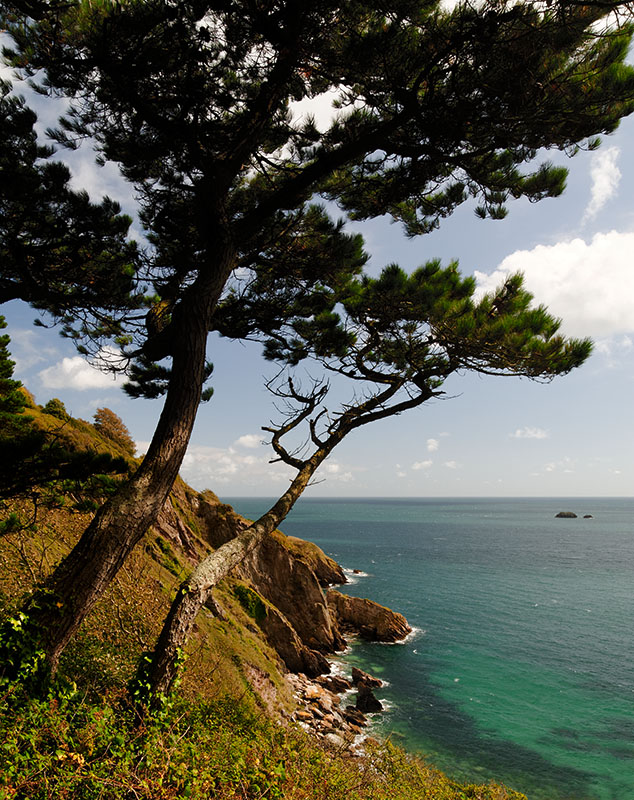 20110904-006_w.jpg