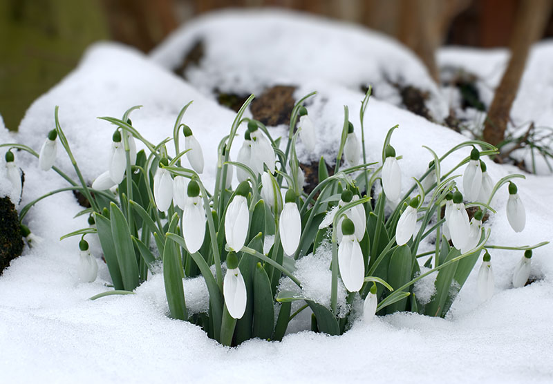 20120210-021_w.jpg