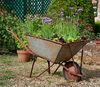 Planted Wheelbarrow, Greys Court, Henley on Thames Nikon D3 with 24-85mm at 1/800s and f/4.5, ISO 200 