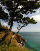 South Coast Path, Coleton Fishacre, Devon Nikon D3 with 24-85mm at 1/50s and f/14, ISO 200 