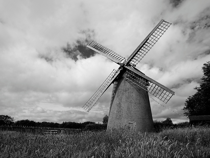 20150626-001_w.jpg