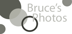 Bruce's
