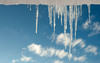 icicles